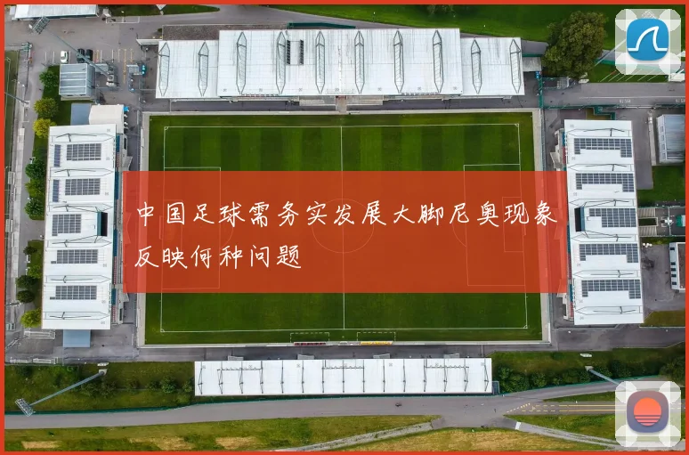 中国足球需务实发展大脚尼奥现象反映何种问题